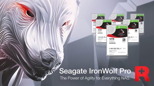 Seagate-Ironwolf-Pro-1